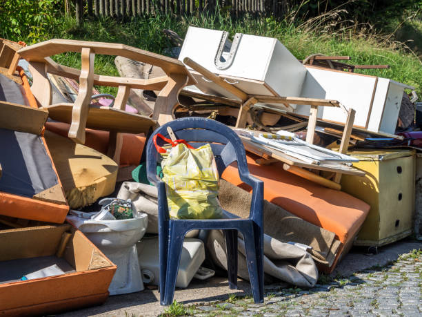 Best Construction Debris Removal  in Carrollton, AL