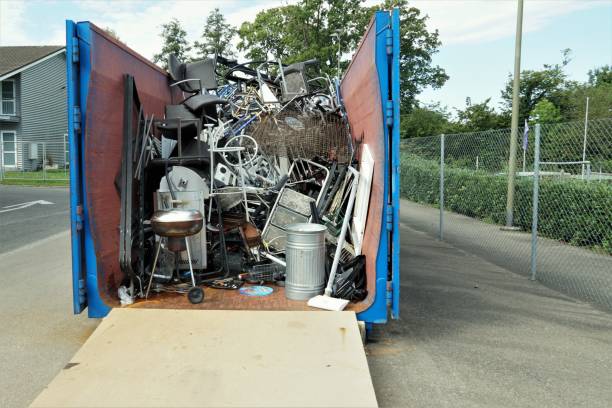 Best Professional Junk Removal  in Carrollton, AL
