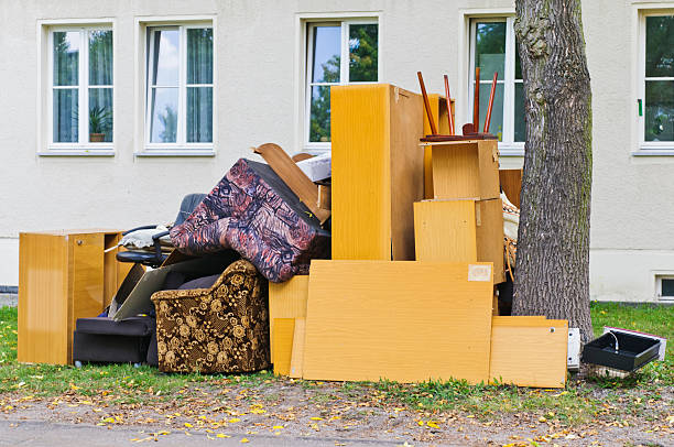 Best Junk Hauling Services  in Carrollton, AL